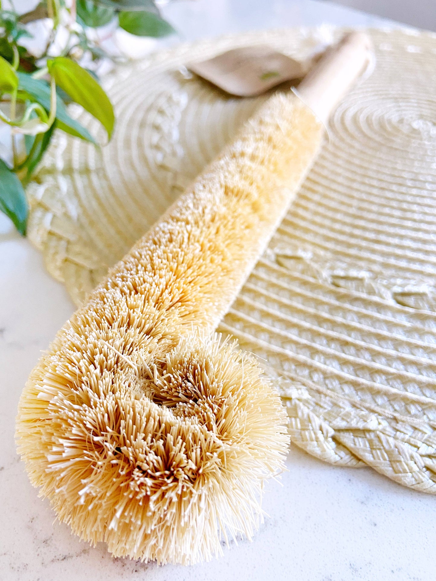 Coconut Bottle Cleaning Brush