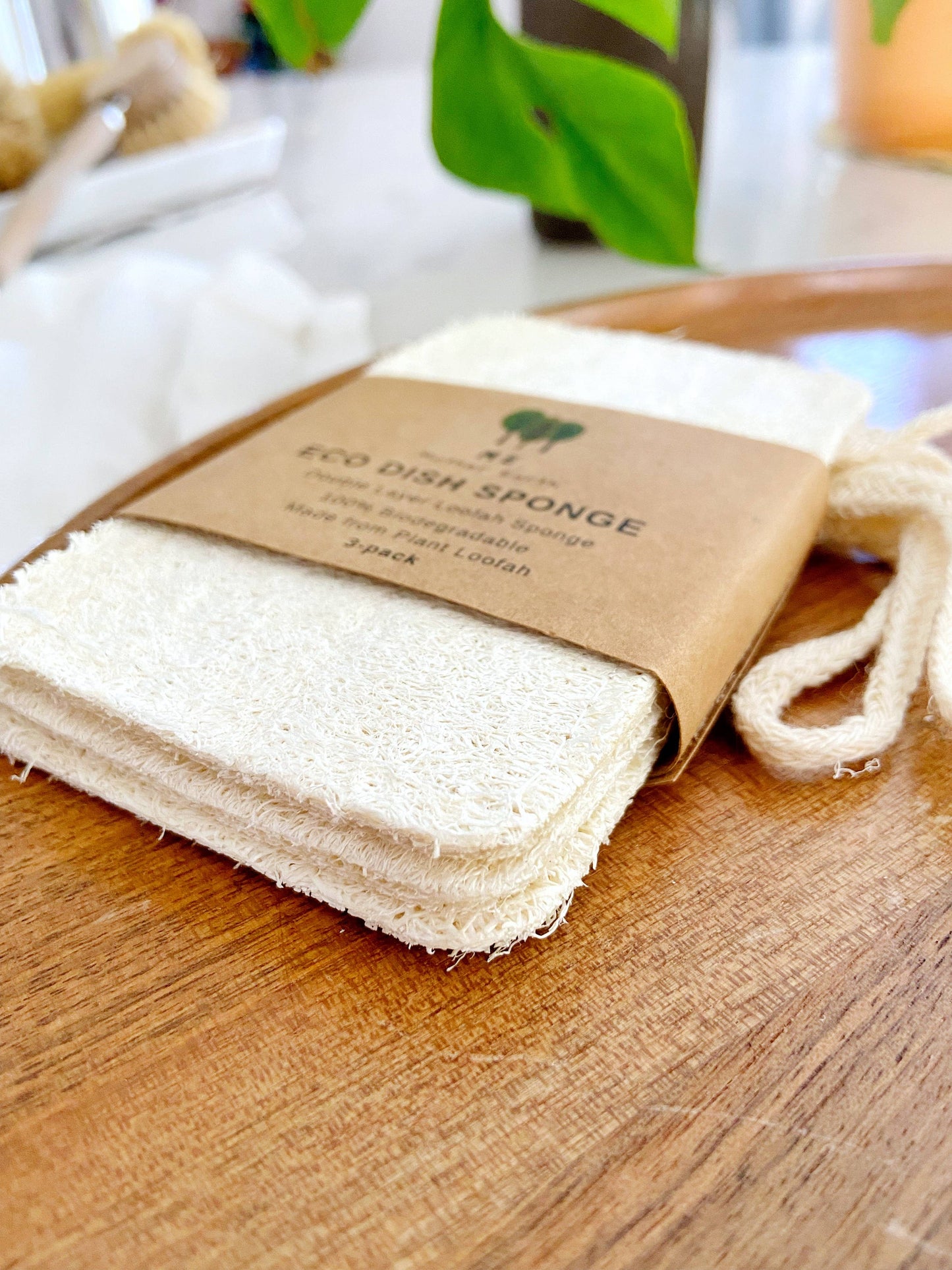 Compostable Loofah Dish Sponge: 3 Pack/Double Layer